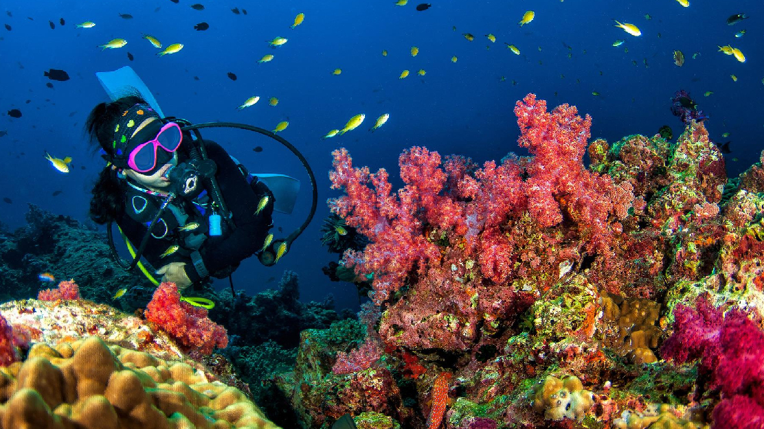 Scuba Diving Tour