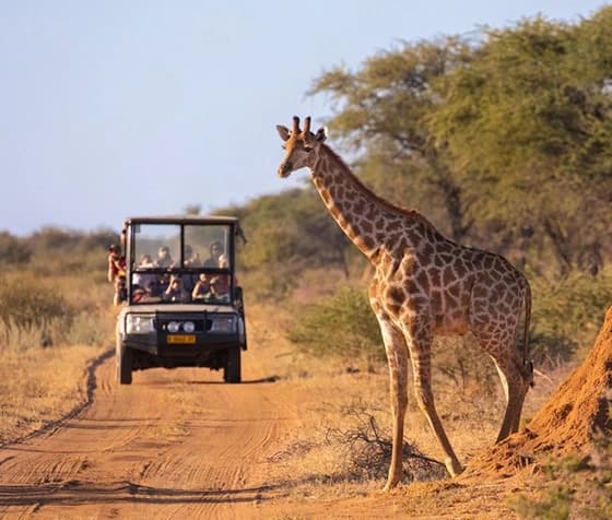 Classic Kenya Safari Tour 